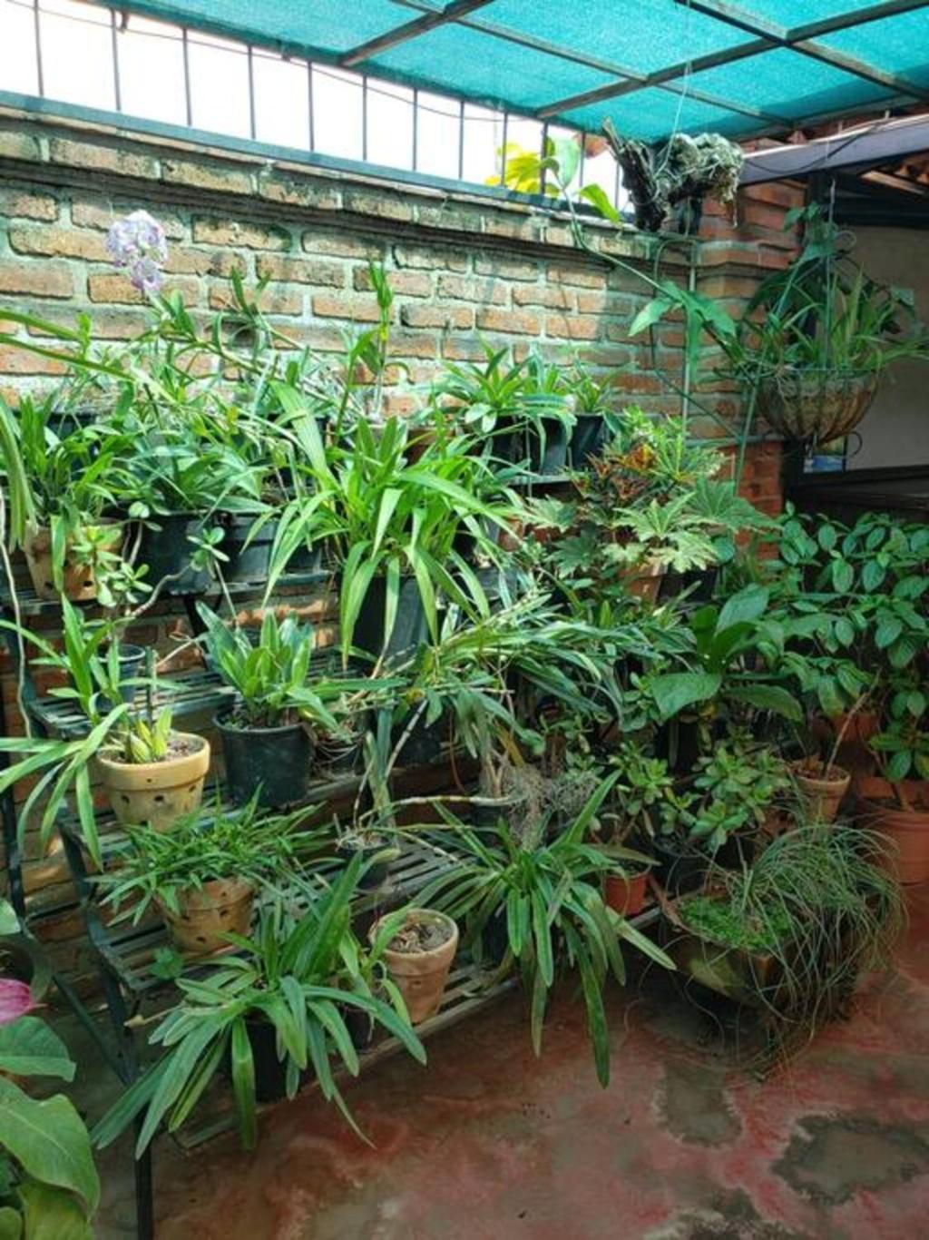 Enjoy Ac In The Penthouse At Inn Ajijic Ngoại thất bức ảnh